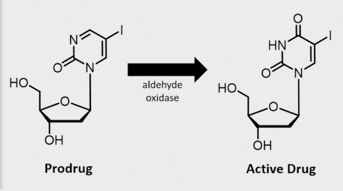 Prodrug to active drug chemistry
