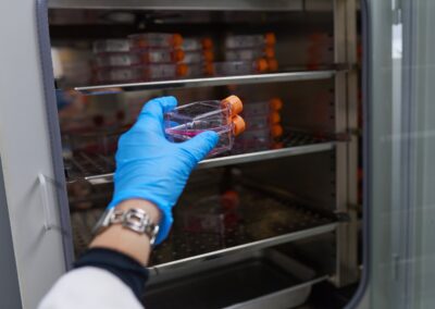 Incubated cancer cell colonies at Shuttle Pharma Laboratories.