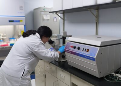 Viewing cancer cell colonies using low power microscopy at Shuttle Pharma Laboratories.